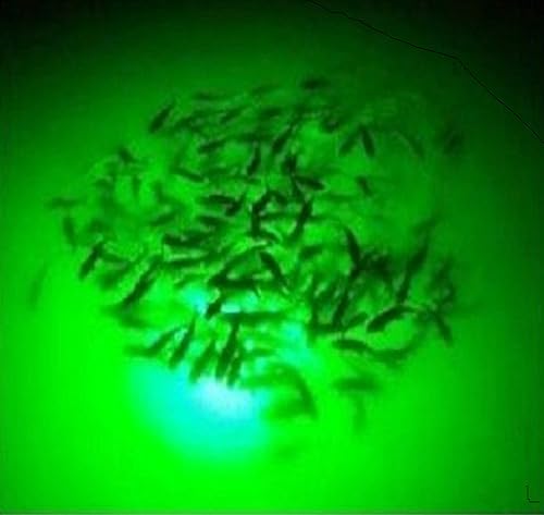 Miniatura 10 de Green Blob Outdoors Luz de pesca submarina de 110 voltios para muelles, LED con temporizador de fotocélula y control remoto 75001500030000 lúmenes