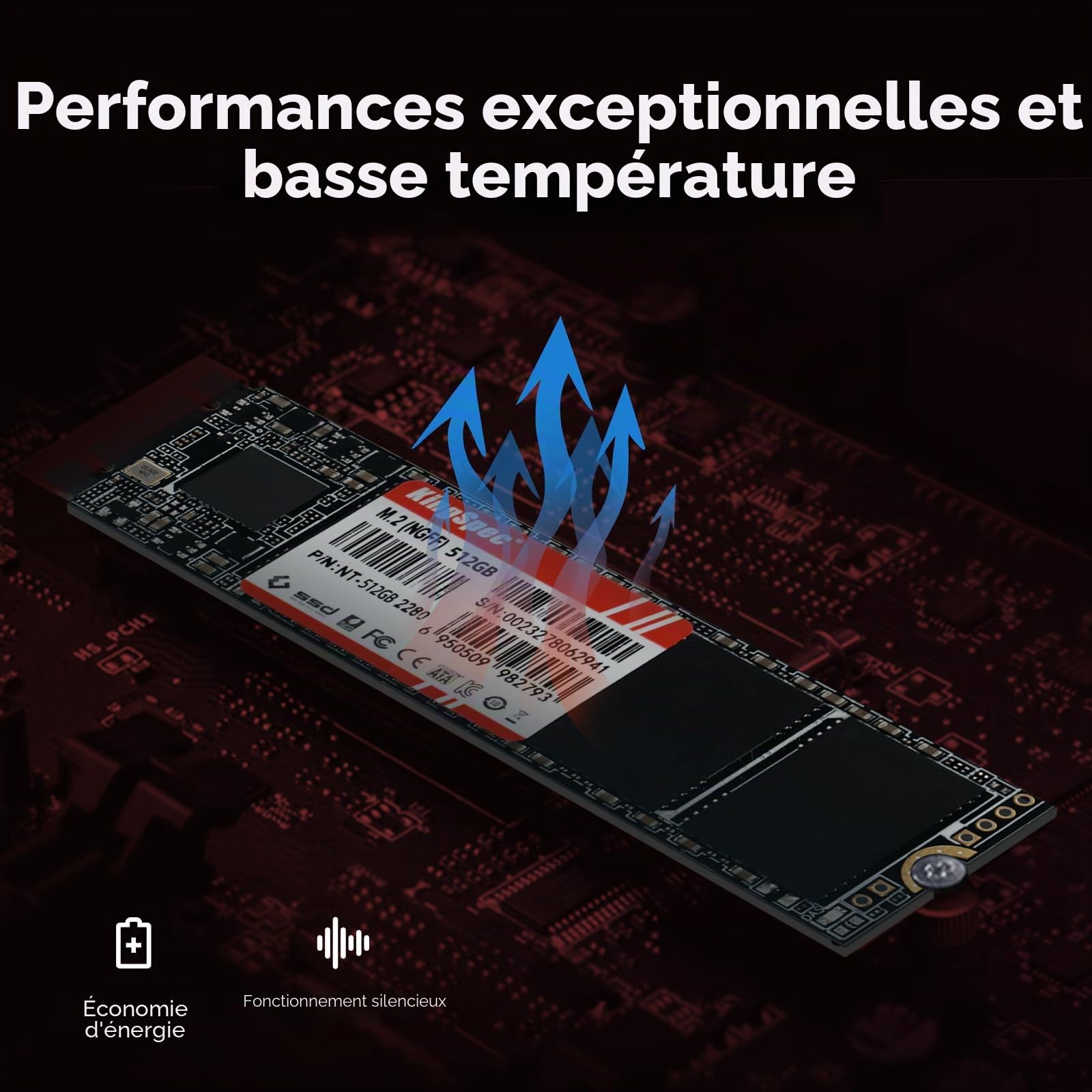 KingSpec SSD 1To M2 SATA 2280, 3D NAND Flash, Interne Disque Dur SSD SATA III 6Gb/s, Compatible avec Desktop et Laptop