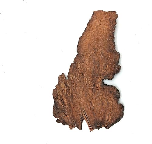 Miniatura 3 de Greenlike He Shou Wu Fo-Ti Fallopia Multiflora Radix Polygori Multiflorum Rebanada de raíz de 16 onzas