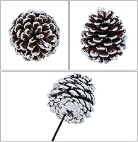 Vista 2 de Winlyn 20 piezas de púas de piña natural esmeriladas, adornos de piñas de pino con punta blanca con tallos de alambre de 6.9 pulgadas de alto