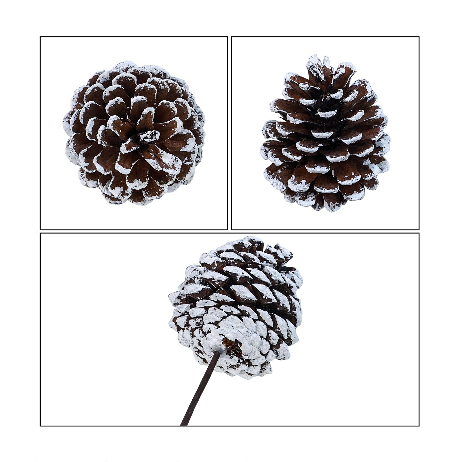 Winlyn 20 púas de piña naturales esmeriladas, adornos de piña con punta blanca con tallos con alambre de 6.9 pulgadas de alto para árbol de Navidad, arreglos florales, manualidades, corona, decoración