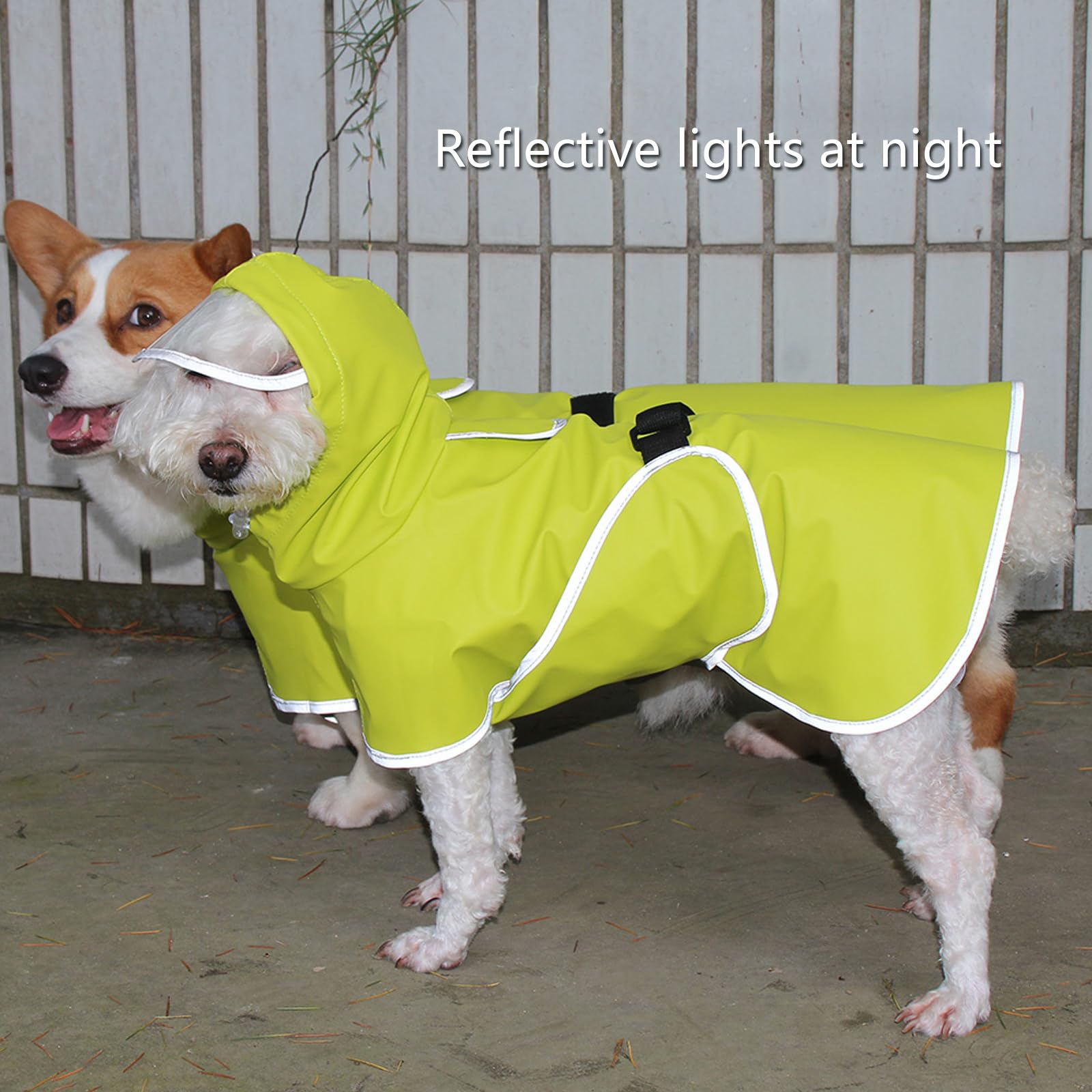 Hunderegenmantel, Verstellbarer, Transparenter Hunde-Regenmantel Mit Kapuze, Glatter Regenumhang, Leichte Welpen-Regenausrüstung, Outdoor-Kleidung Mit Leine