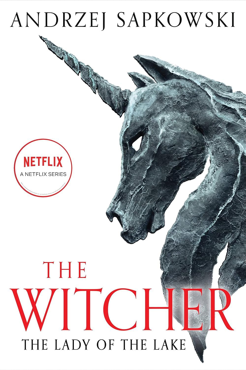 The Witcher Saga 8 - Book Collector's Edition by Andrzej Sapkowski.