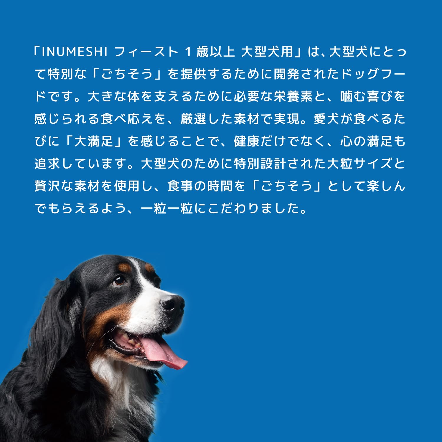 週末キャンペーンINUMESHI　フィースト　1歳以上　大型犬用　15kg 1個 Amazon.co.jp: INUMESHI フィースト ドッグフード 1歳以上 大型