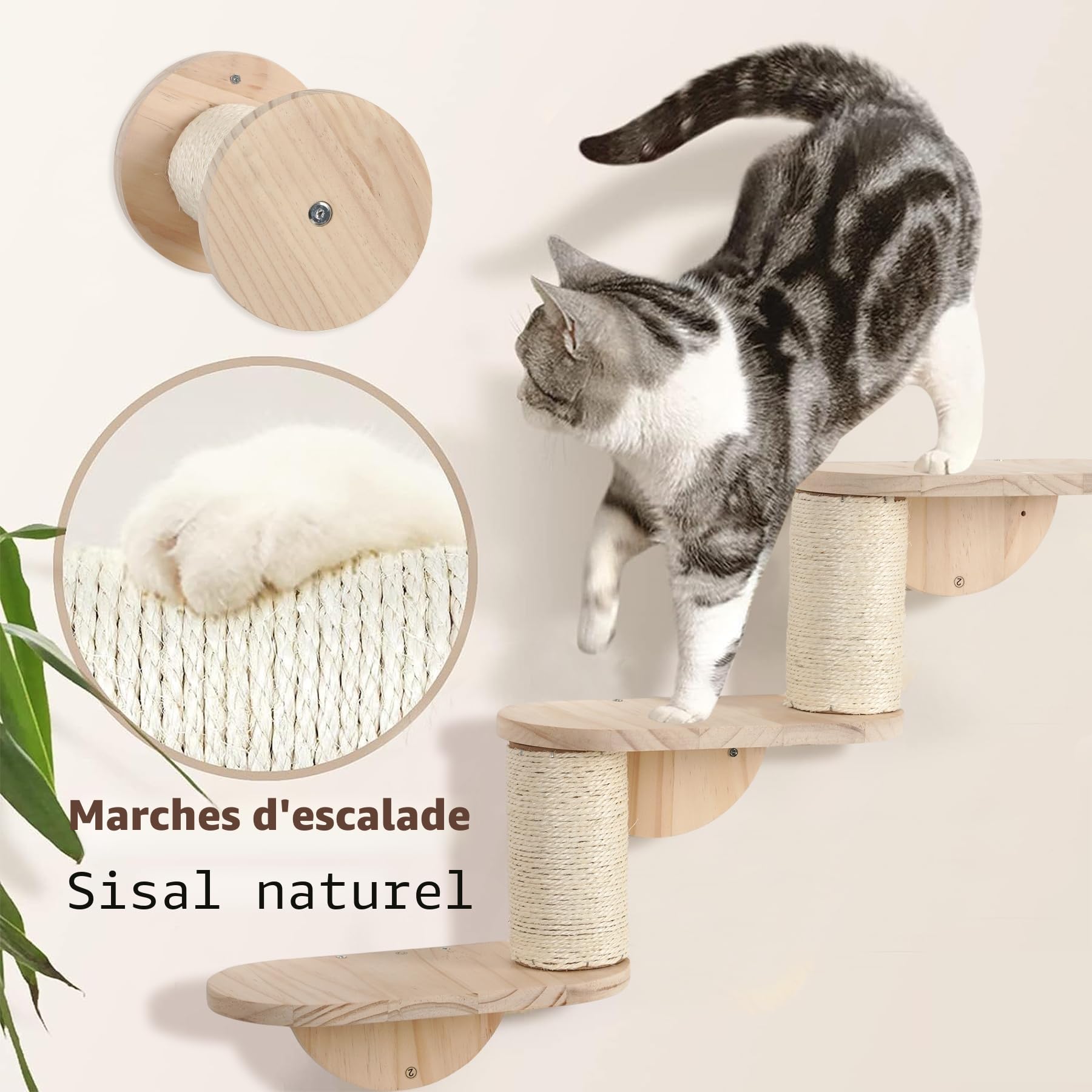Mur d'escalade pour chat XXL - Parc mural en bois 4 pièces avec grotte pour chat, pont suspendu, escalier et colonne en sisal - Meubles muraux pour chats domestiques