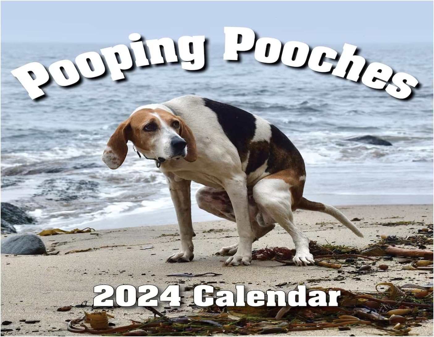 lembrdPooping Dogs Calendar 2024 | Dogs Pooping In Beautiful Places Calendar | Funny Calendar 2024 | Monthly Wall Calendar | Humor Calendar Prank For Women, Men And Dog Lovers