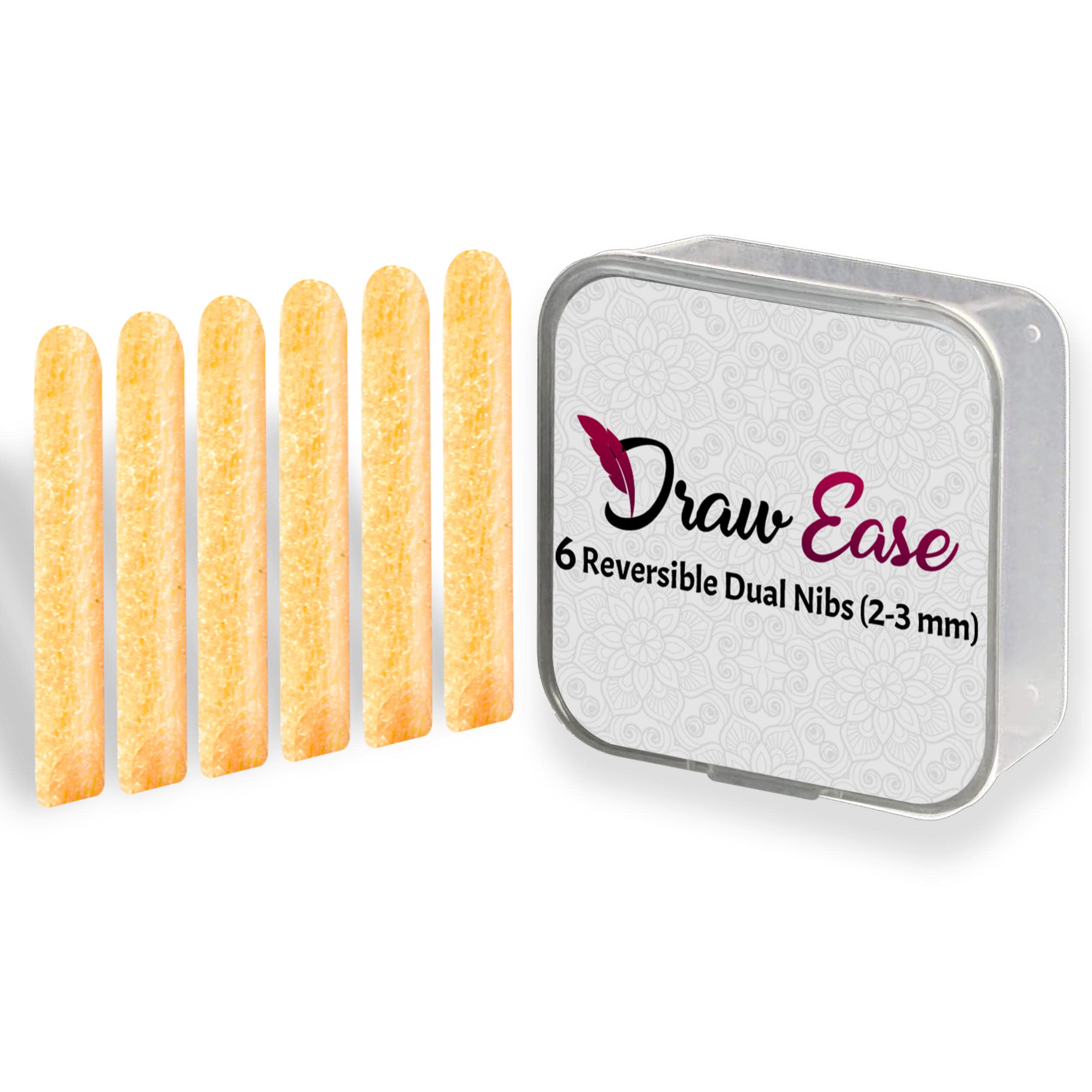 Acrylic Paint Pens Nibs Set of 6 Dual Reversible Glass Pen Tips, 2-3 mm Medium Tip Acrylic Pens nib Suitable for Porcelain, Wood, DIY Craft, Mug Design, Rock Painting, & Ceramic