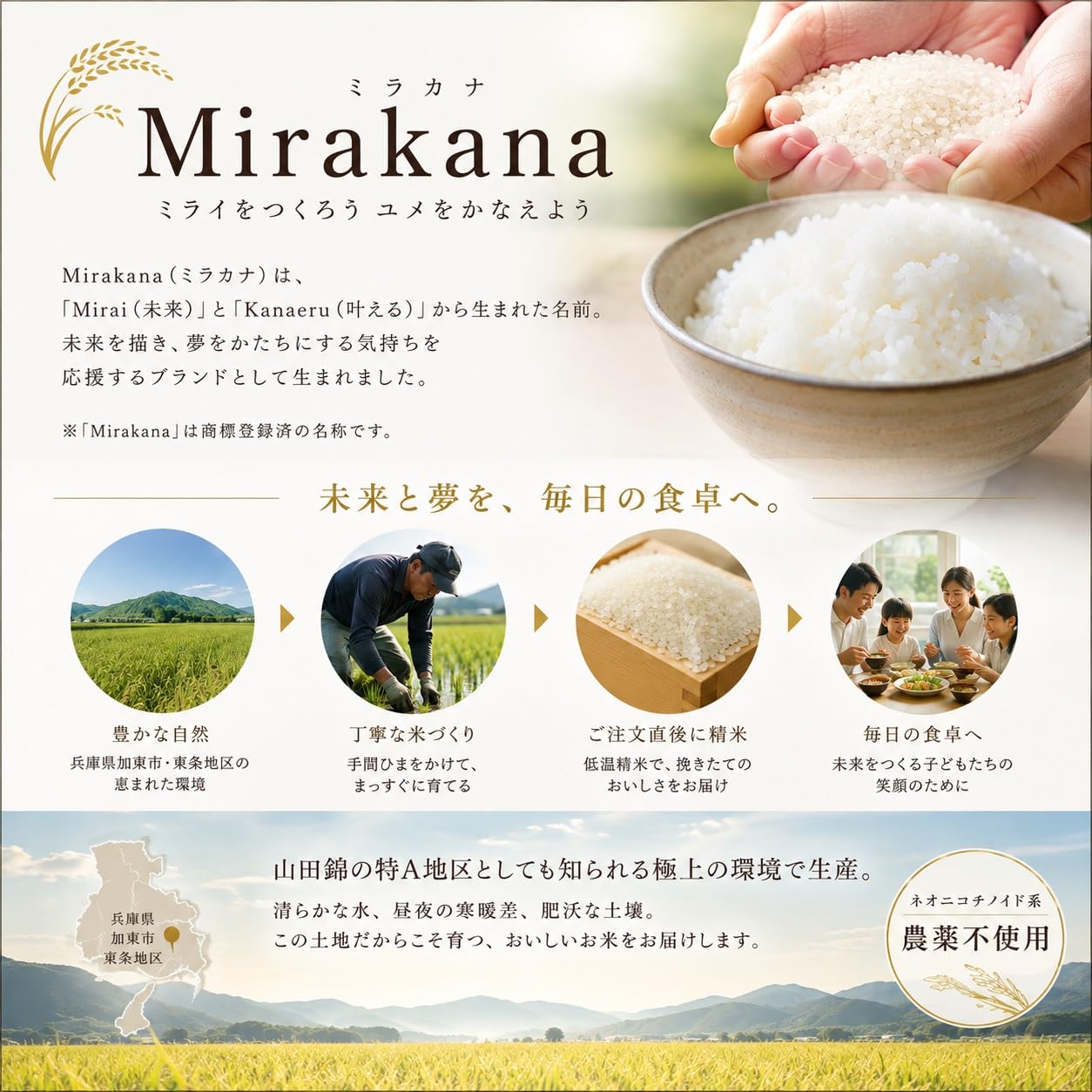 Amazon.co.jp: 【Mirakana】令和7年産 キヌヒカリ 兵庫県産 Mirakana