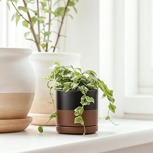 Miniatura 3 de D'vine Dev Juego de 2 macetas de cerámica de 3.5 pulgadas para plantas con orificio de drenaje y platillo, negrobronceado moteado, 94-V-A-7