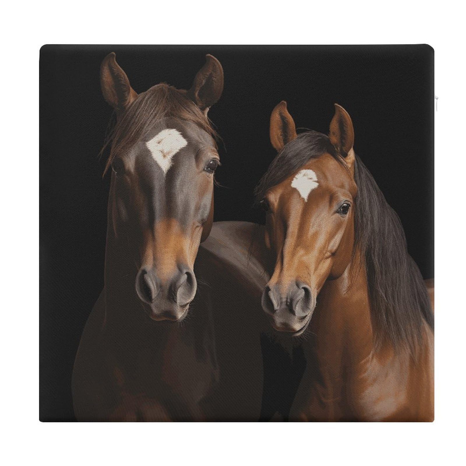 FekiLoot Two Horses Standing on Black Background Seat Cushion for Dining Chairs Breathable Square Chair Pads Memory Foam Chair Cushions Comfortable Non-Slip Seat Pad Meditation Floor Pillow 13.8”x15”