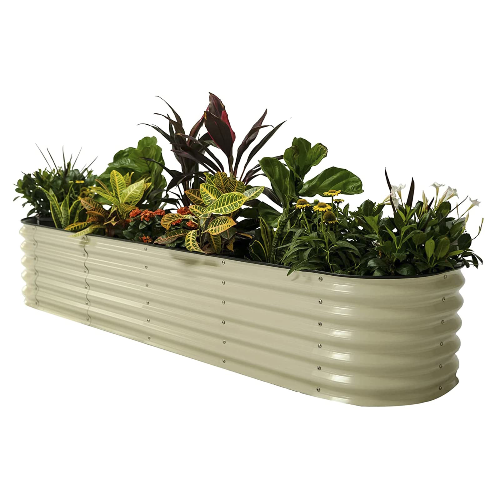 Letti per Orto Rialzati per Ortaggi, 9 in 1 Fioriera Ovale Grande in Metallo da 43 cm, Fioriera da Giardino da Esterno per Erbe, Verdure E Fiori, Resistente alla Putrefazione,Avorio
