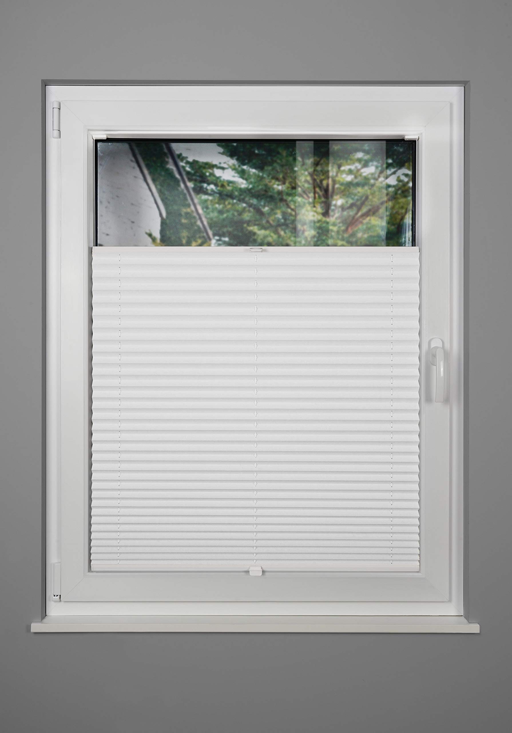 Plissee nach Maß für alle Fenster innen Montage in Glasleiste mit Spannschuh Sonnenschutz Rollo Sichtschutz Blickdicht Weiß B: 81-90 cm, H: 40-100 cm