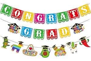 Taco Graduation Party Decorations 2025