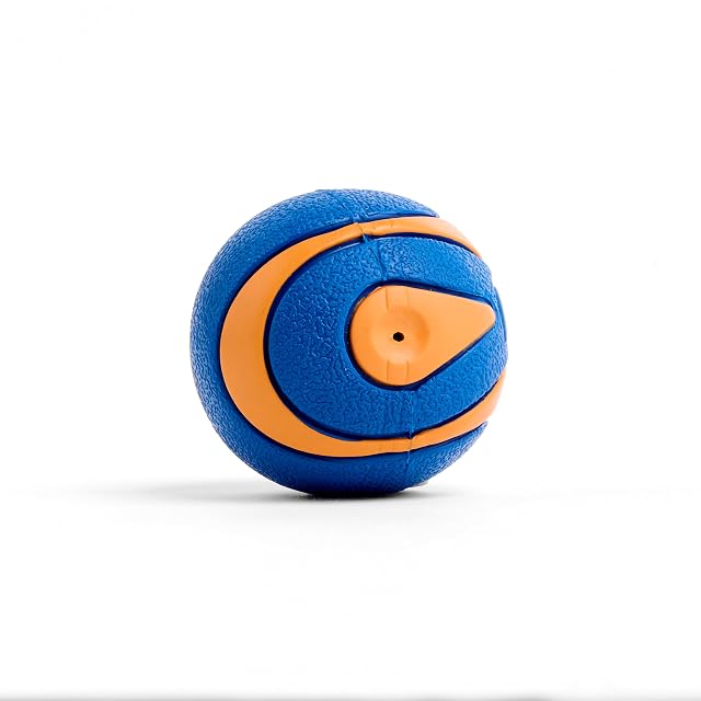 Foto 2 de 8 de Chuckit! 52068 Ultra Squeaker Ball, 1 Pelota para Perros Compatible con el Lanzador, M