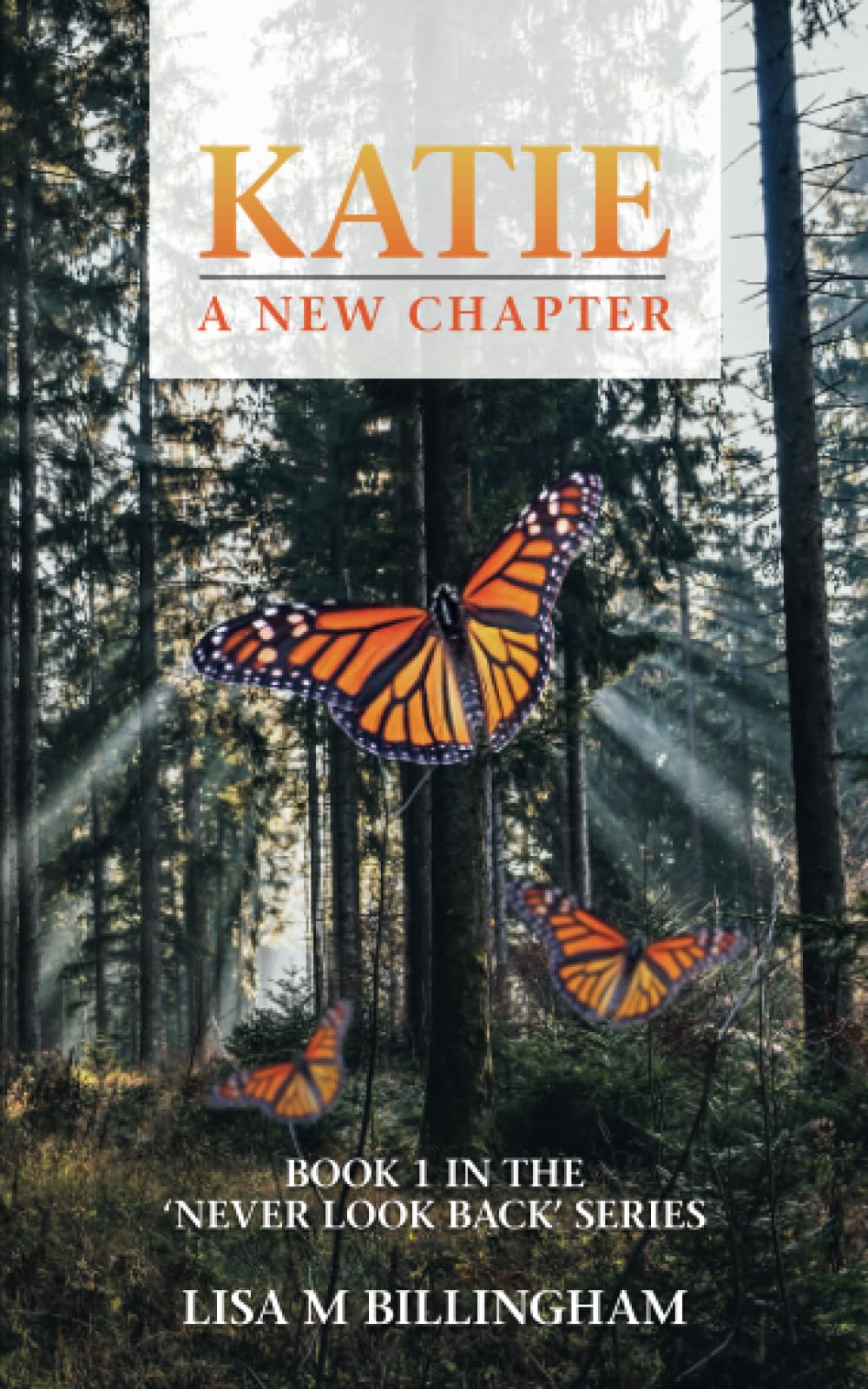 Katie, A New Chapter: The Gripping, Emotional, Heart Wrenching Debut Fiction Novel.: 1 (Never Look Back)
