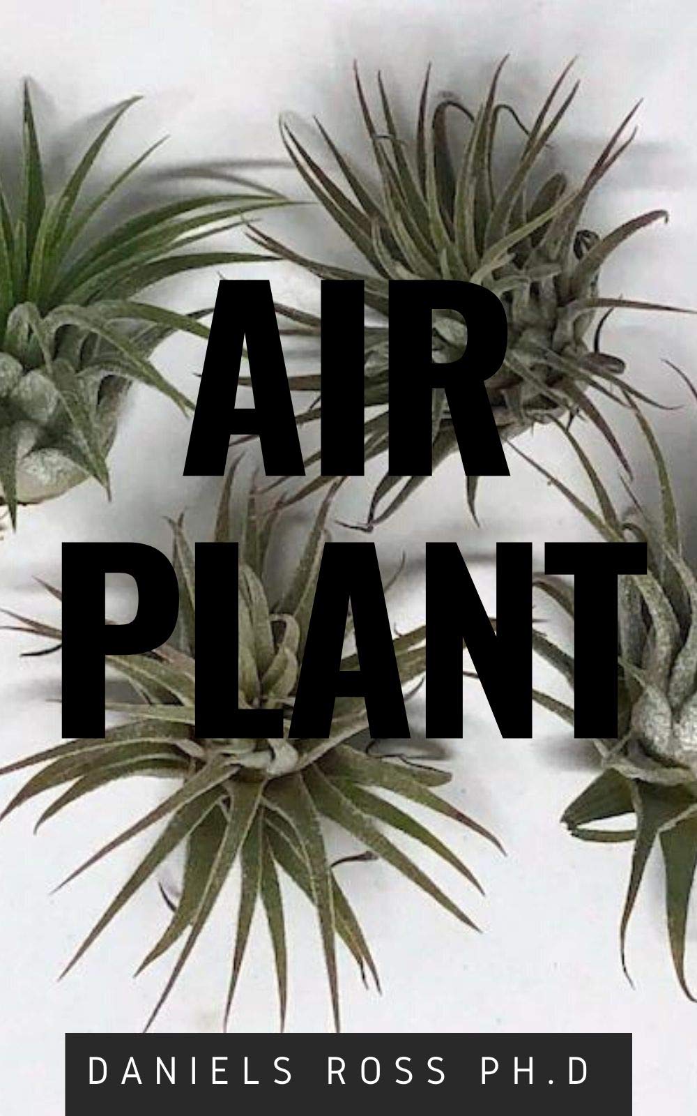 AIR PLANT: Everything You Need About Air plants : Understanding, Growing,Dispplaying,Uses and Care