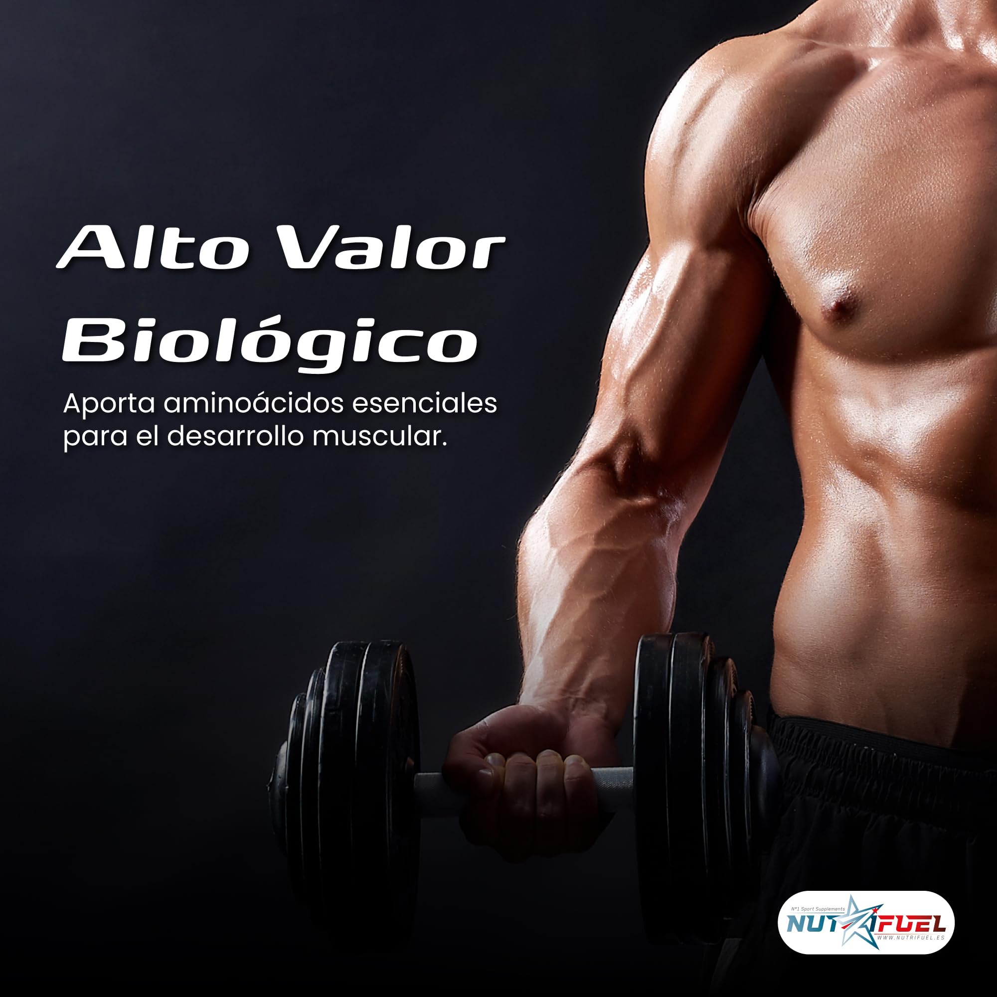 Proteina Whey Protein En Polvo Con BCAA L Glutamina Enzimas Digestivas Digezyme Proteinas Whey Suero Recuperacion Muscular Post Entrenamiento Fitness Gym Proteina Yogurt Fresa