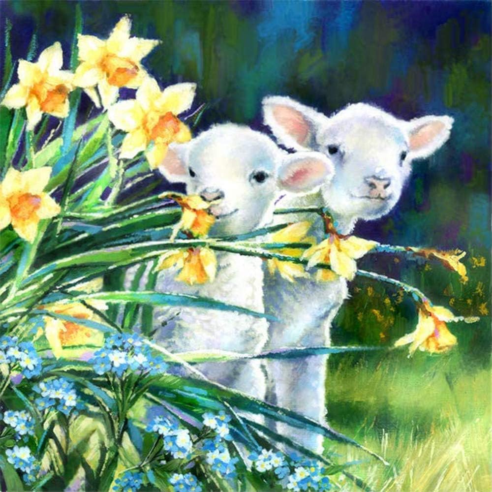 Amazon.com: Cute Sheep Diamond Painting Kit - pigpigboss 5D Full