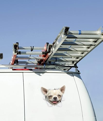 Miniatura 5 de Winston & Bear - Adhesivos 3D para perros, 2 unidades, diseño de Chihuahua feliz para pared, nevera, inodoro y mucho más, paquete al por menor,