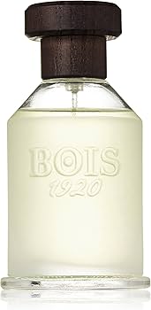 ボワ1920 ヴェントネルヴェント オーデパルファム 100ml 香水 Amazon.com : Bois 1920 CLASSIC Eau De Parfume Spray, 3.4 Ounce