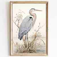 Amazon.co.jp: アオサギ ウォールアートプリント 沿岸の鳥
