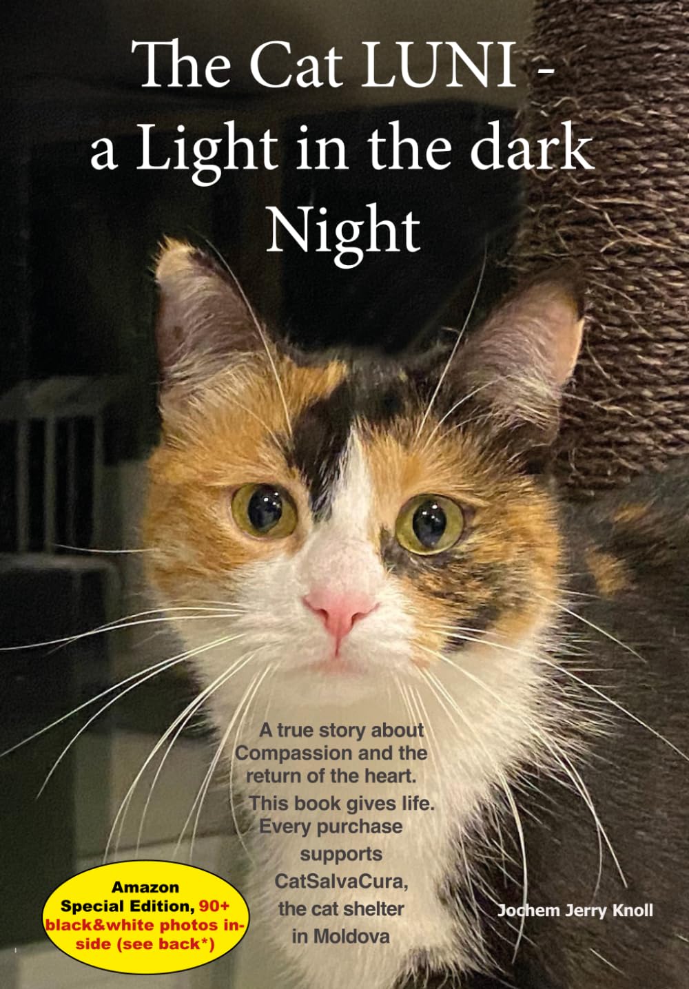 The Cat Luni - A Light in the dark Night: A book about compassion and the return of the heart. A story of fate and crime in a time when nothing seems sacred anymore.