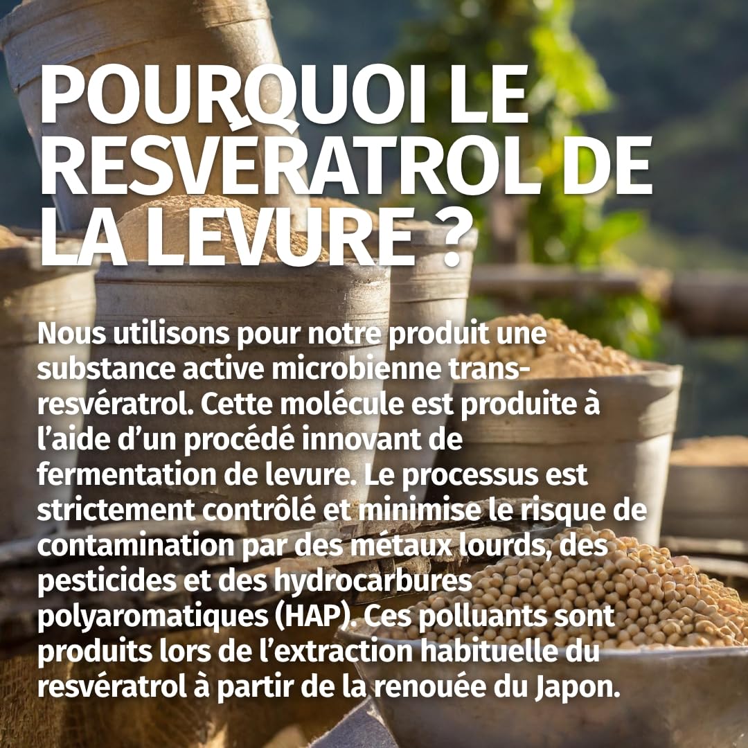 Trans Resvératrol 500 mg - 120 gélules - Pureté : >98% de trans-resvératrol - Fabrication allemande - 100% végétalien et sans additifs - Approvisionnement pour 4 mois - Green Naturals®