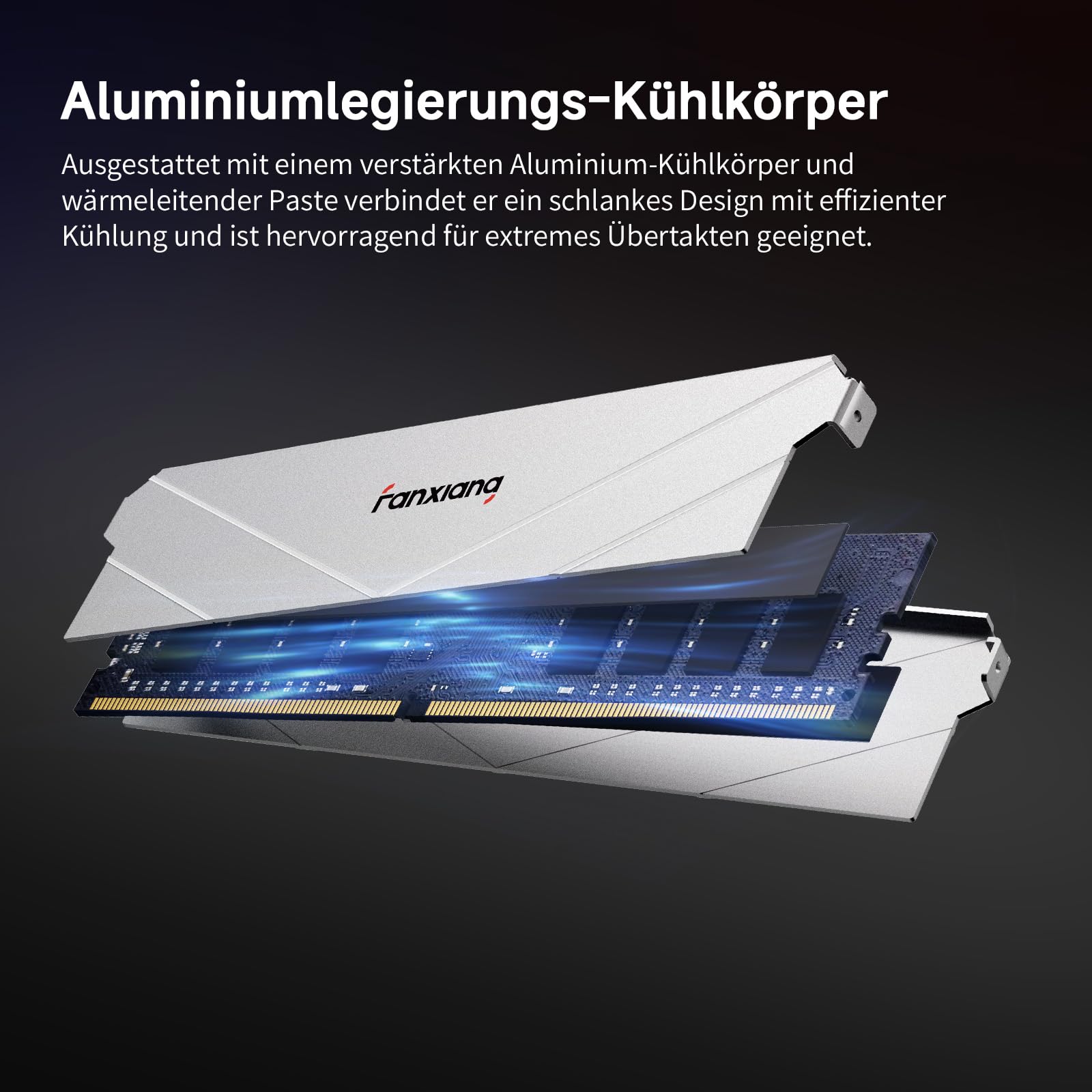 fanxiang DDR4 RAM 16GB (2x8GB) 3200 MHz, CL16 1.35V AMD & Intel XMP 2.0 | 288-Pin UDIMM，Desktop Arbeitsspeicher，Non-ECC，Silber