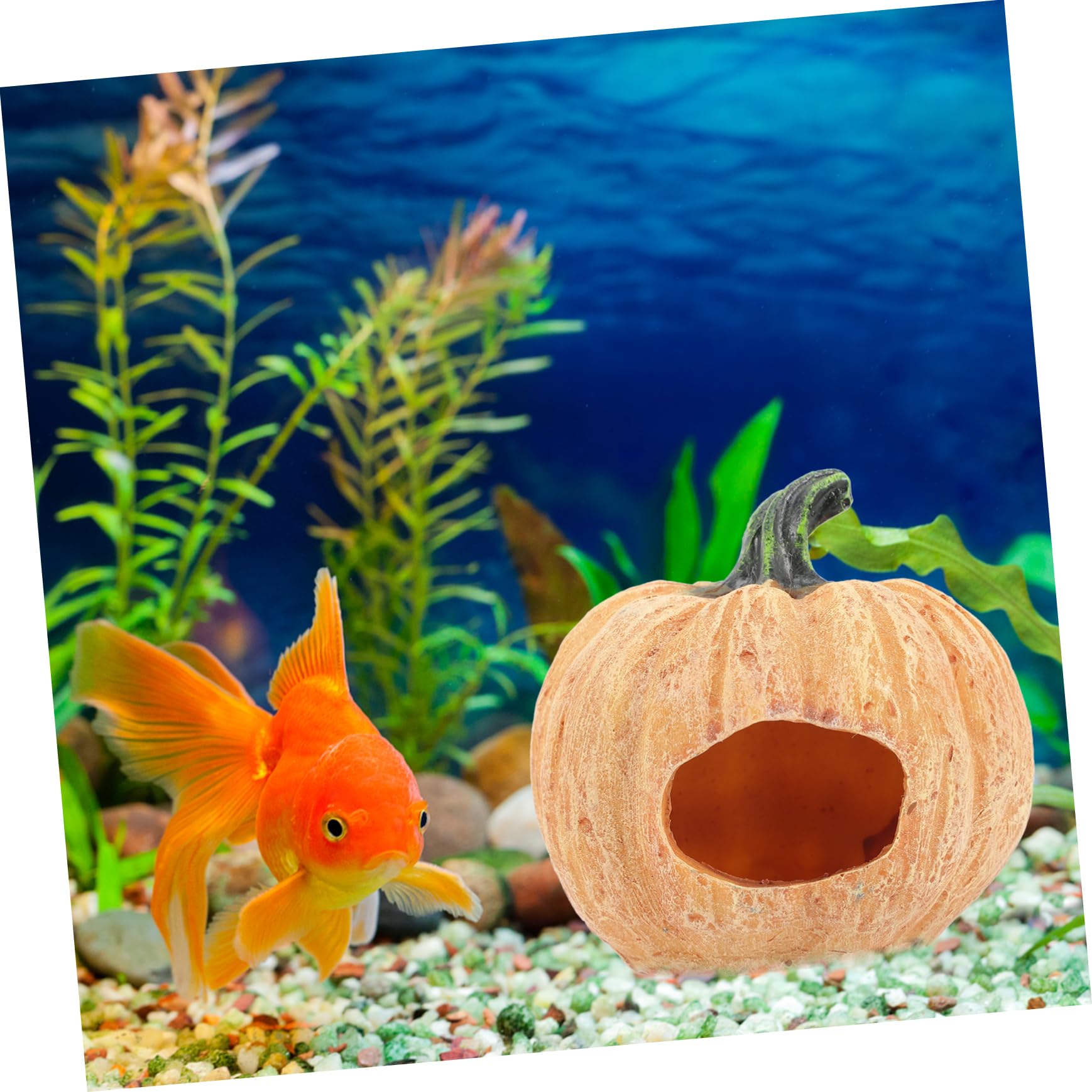 POPETPOP 2stücke Aquarium Dekoration Kürbis Für Fischbecken Attraktives Landschaftsaccessoire Und Versteck Für Fische Und Garnelen Für Terrarien Und Aquariengestaltung