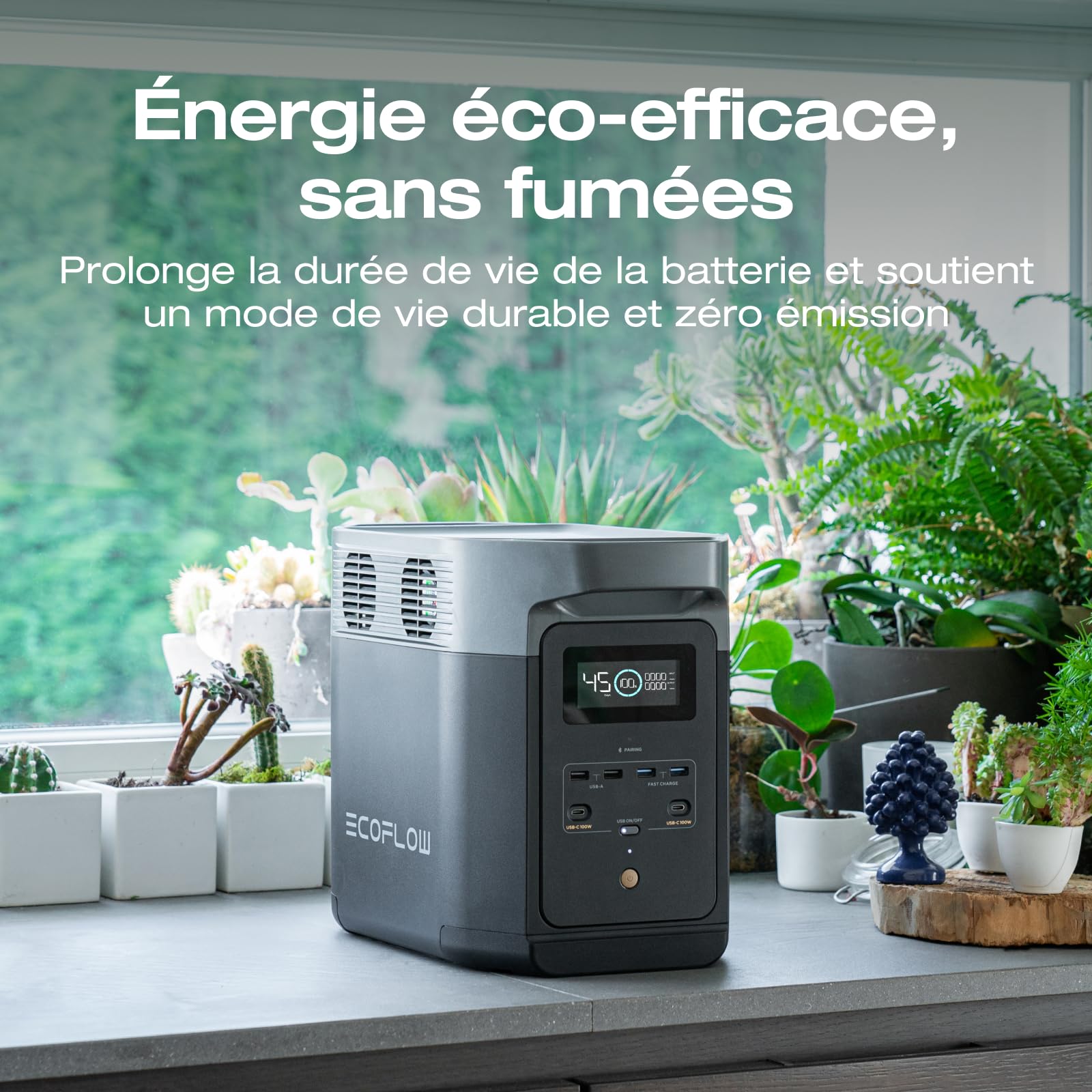 EcoFlow Delta 2 Station électrique Portable, Batterie LFP, Charge Rapide, générateur Solaire pour Alimentation de Secours Domestique, Balcon, Camping et Camping-Cars (Delta 2+Cable)