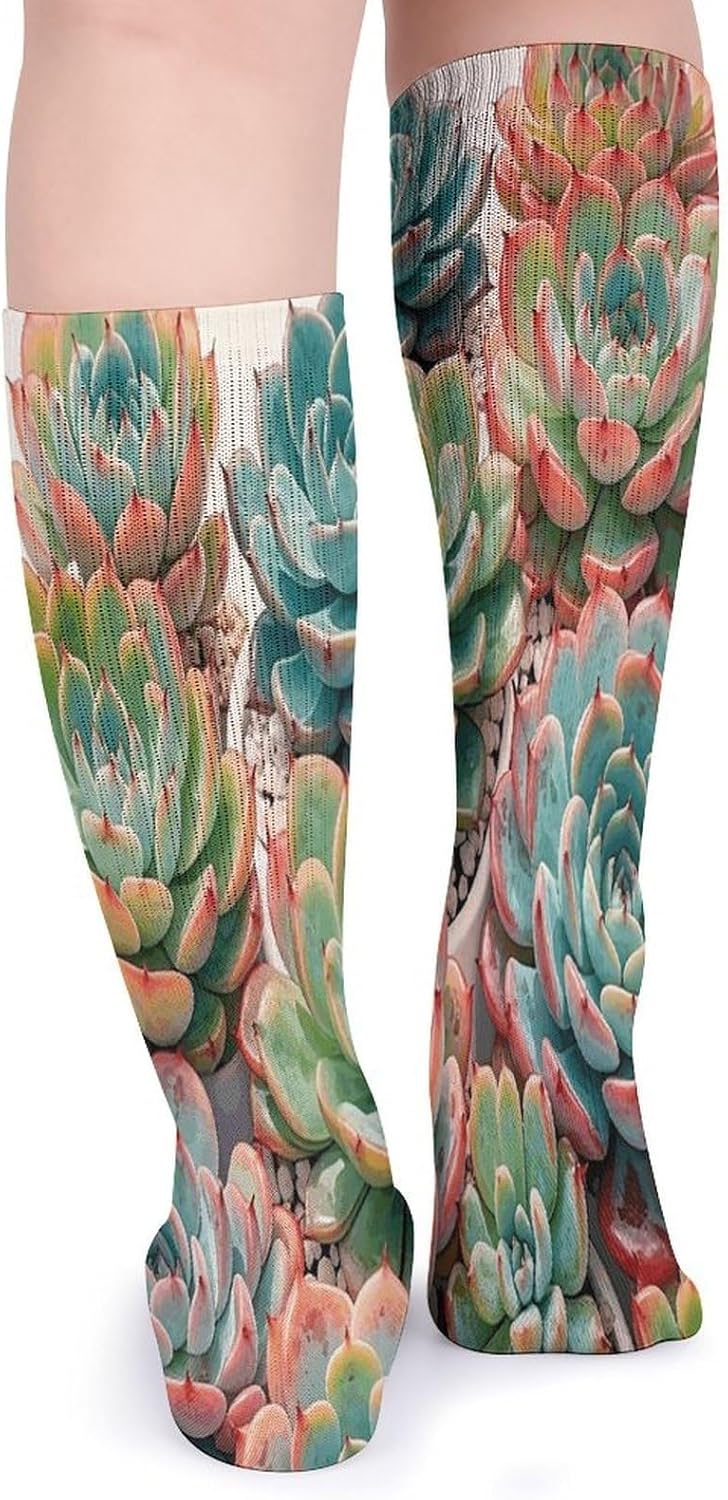 Watercolor Succulent Flower Knee High Socks Cozy Knee High Socks Soft Mid-Length Sock for All Seasons Daily Wear Adult