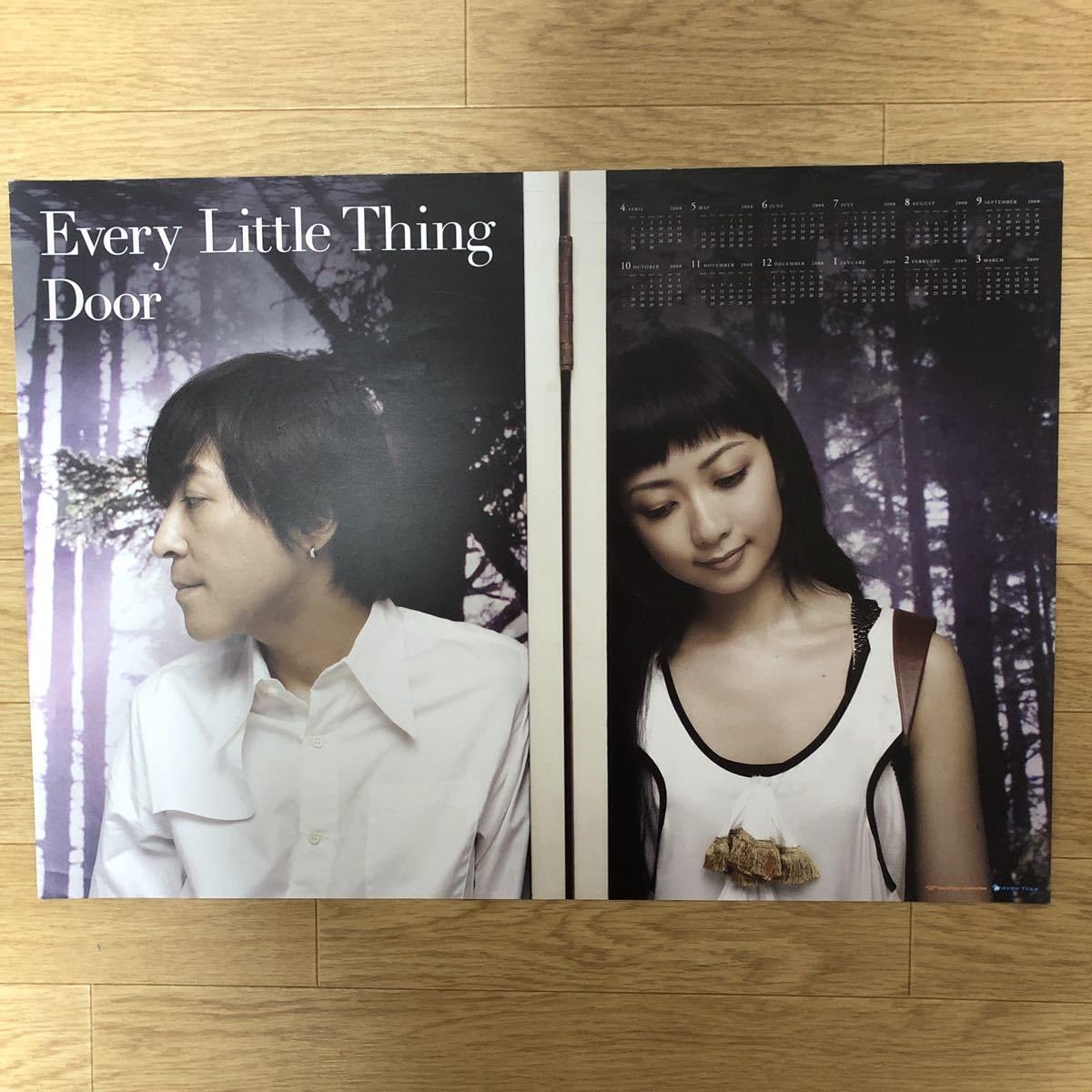 Amazon.co.jp: エブリ リトル シング Every Little Thing ポスター 大  