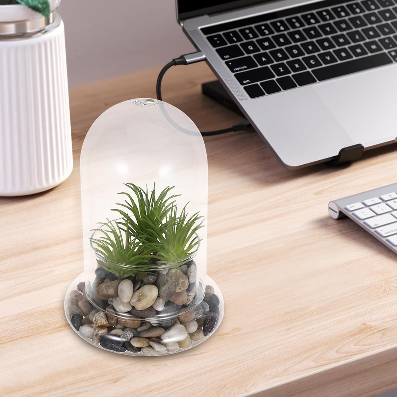 CHILDWEET 2Pcs Ecological Bottle Terrarium Glass Micro Landscape Bottle with 8Mm Hole DIY Moss Planter Suitable for Indoor Gardening and Home Decoration