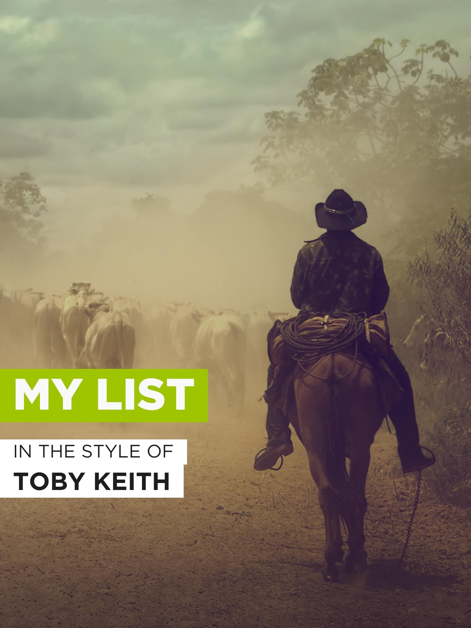 My List Toby Keith, R / T James, Movies & TV
