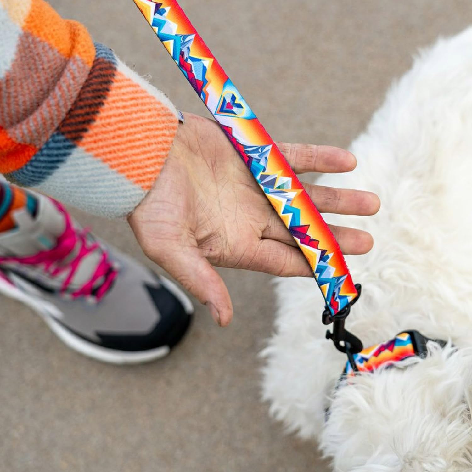 Amazon | WOLFGANG/ウルフギャング WildWolf LEASH (L size) 巾2.5cm x 