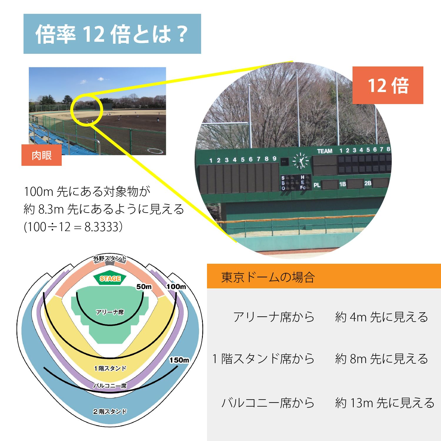 Amazon | SIGHTRON サイトロン 防振双眼鏡 手ブレ補正 FESTA III 12x21 