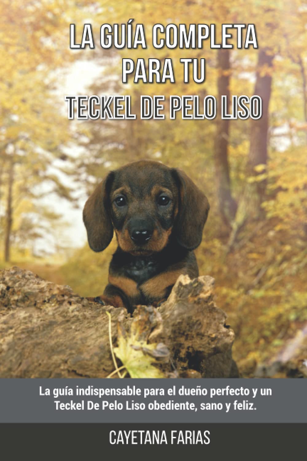 La Guía Completa Para Tu Teckel De Pelo Liso: La guía indispensable para el dueño perfecto y un Teckel De Pelo Liso obediente, sano y feliz.