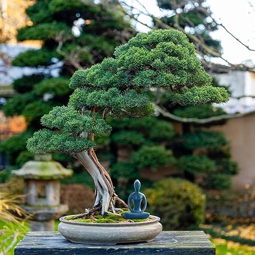 Miniatura 7 de Estatua de postura de yoga, figura de decoración zen, escultura de cerámica azul para decoración de escritorio del hogar, 2.1 x 3.3 pulgadas, 1