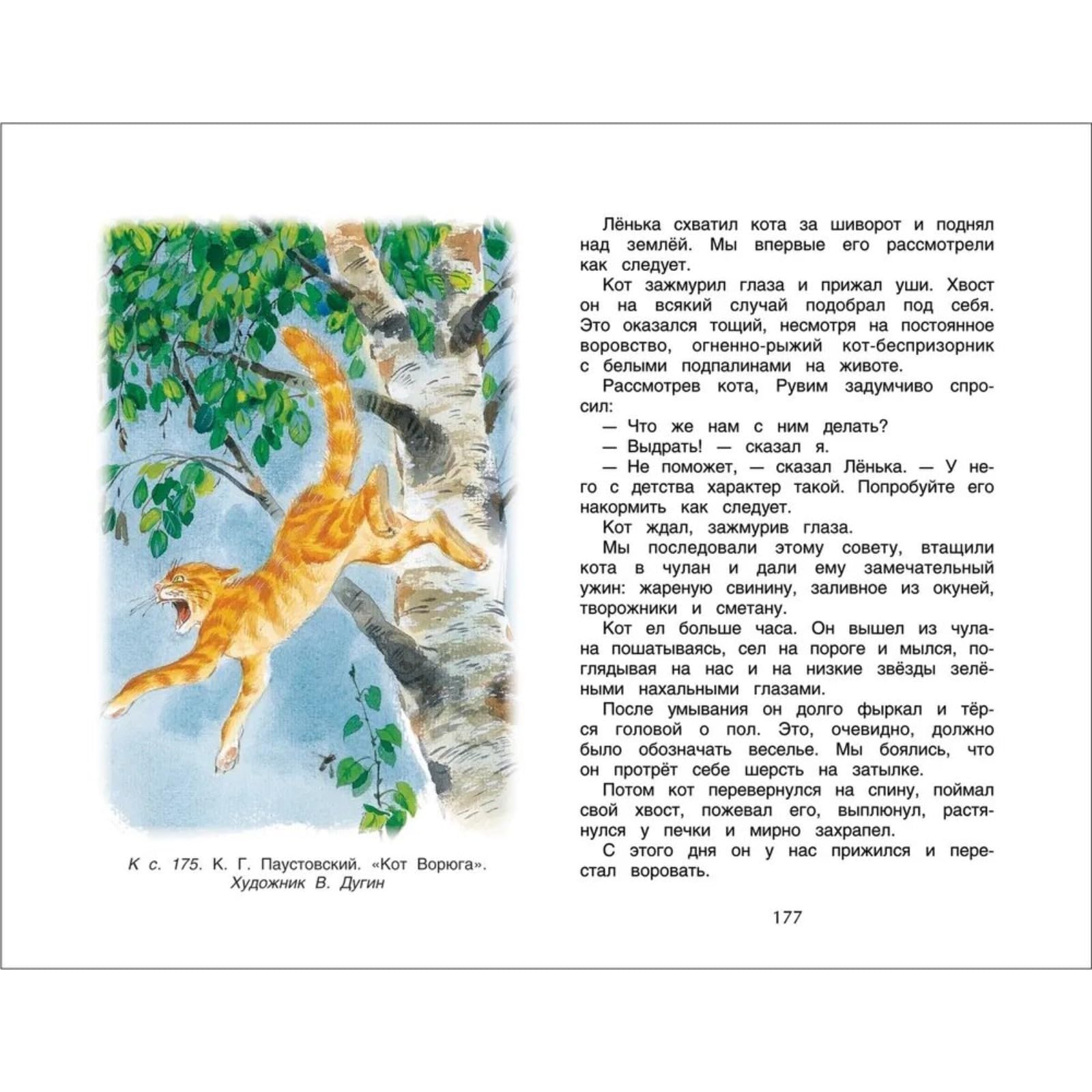 Livre d'or des contes de fées russes Pouchkine Zhukowski Aksakoff Azbuka apprentissage langue russe