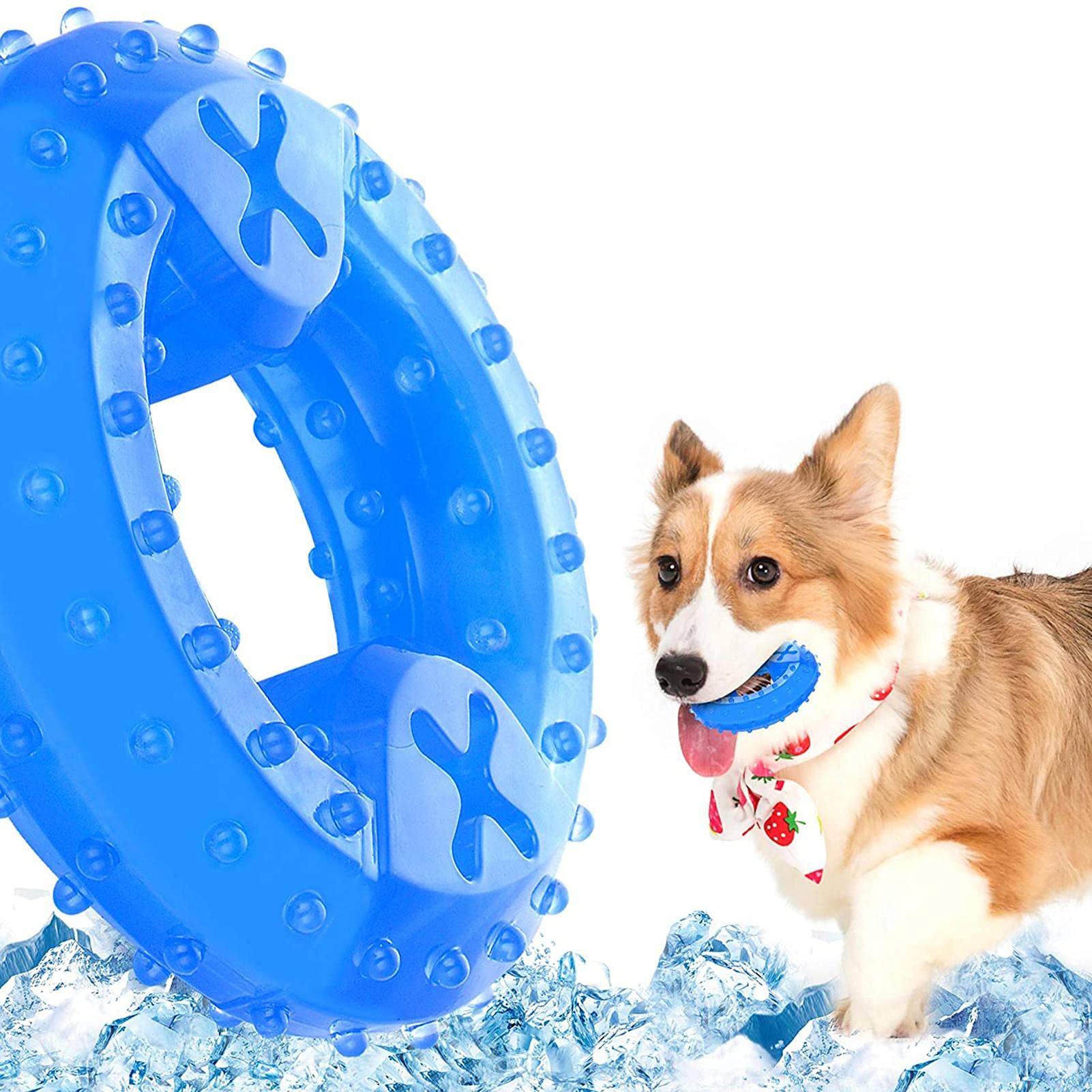 shifengzhou Freezable Dog Teether Cooling Chew Toy, TPR Pet Teether Cooling  Chew Ring Toys for Dogs, Chew Toy Puppy Teething, Cooling Freeze Teether