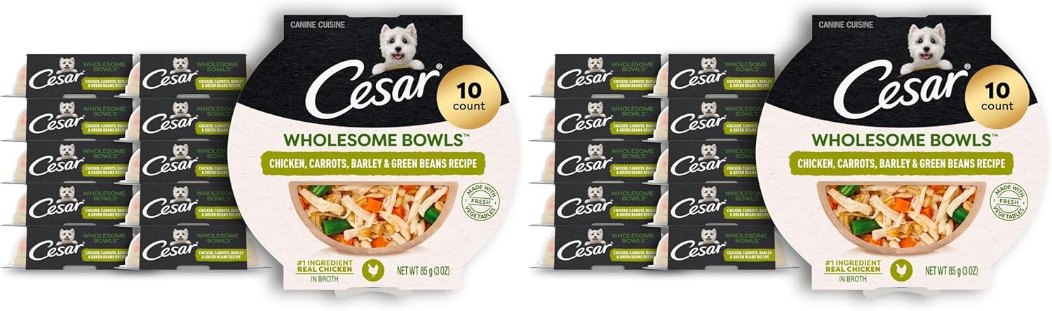 Cesar Wholesome Bowls Adult Wet Dog Food,Chicken,Carrots,Barley & Green Beans Recipe,Wet Food for Dogs,3 Oz. Bowls,10 Count (Pack of 2)
