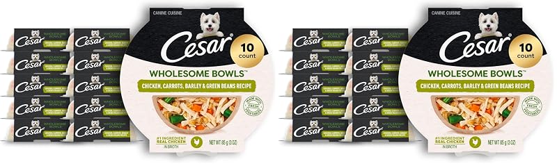 Ração úmida para cães adultos Cesar Wholesome Bowls com frango, cenoura, cevada e vagem, 20 unidades de 85 g