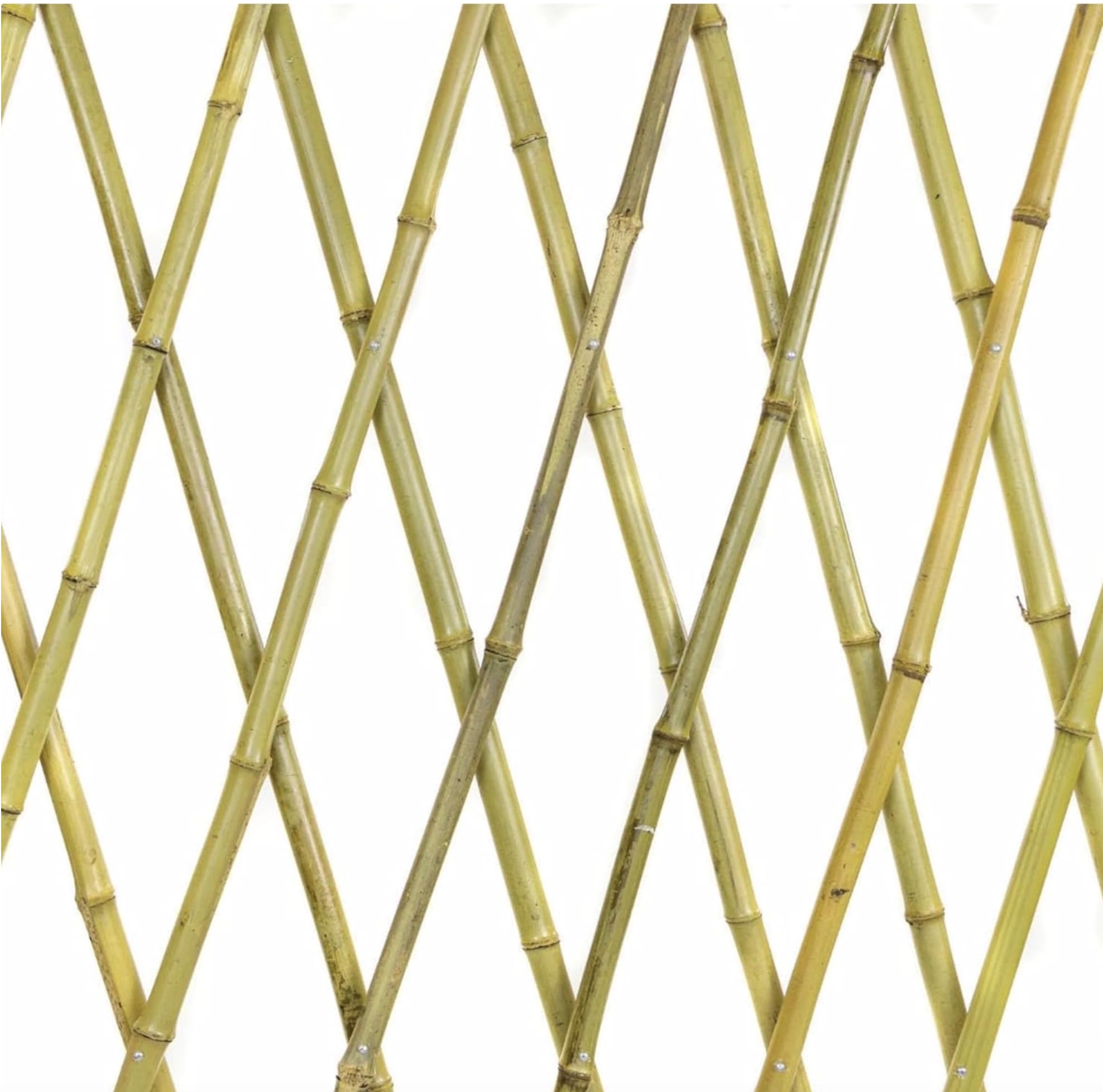 NG NICCOLAI TRALICCIO ESTENSIBILE BAMBOO VARIE MISURE (200x200 CM)