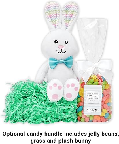 Miniatura 42 de Let's Make Memories - Canasta de Pascua personalizada con amigos peludos, canasta para niños, diseño de conejito de Pascua azul, solo incluye