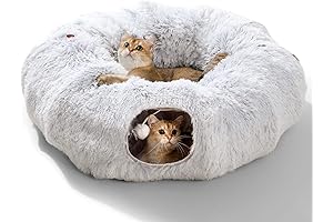 Multifunctional Cat Tunnel with Cozy Cat Bed for Indoor Cats
