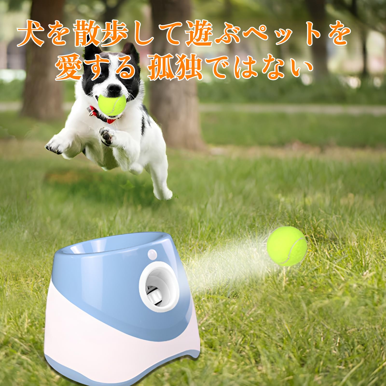 Amazon | [mocoly]自動ボールランチャー 犬 おもちゃ ボール 自動