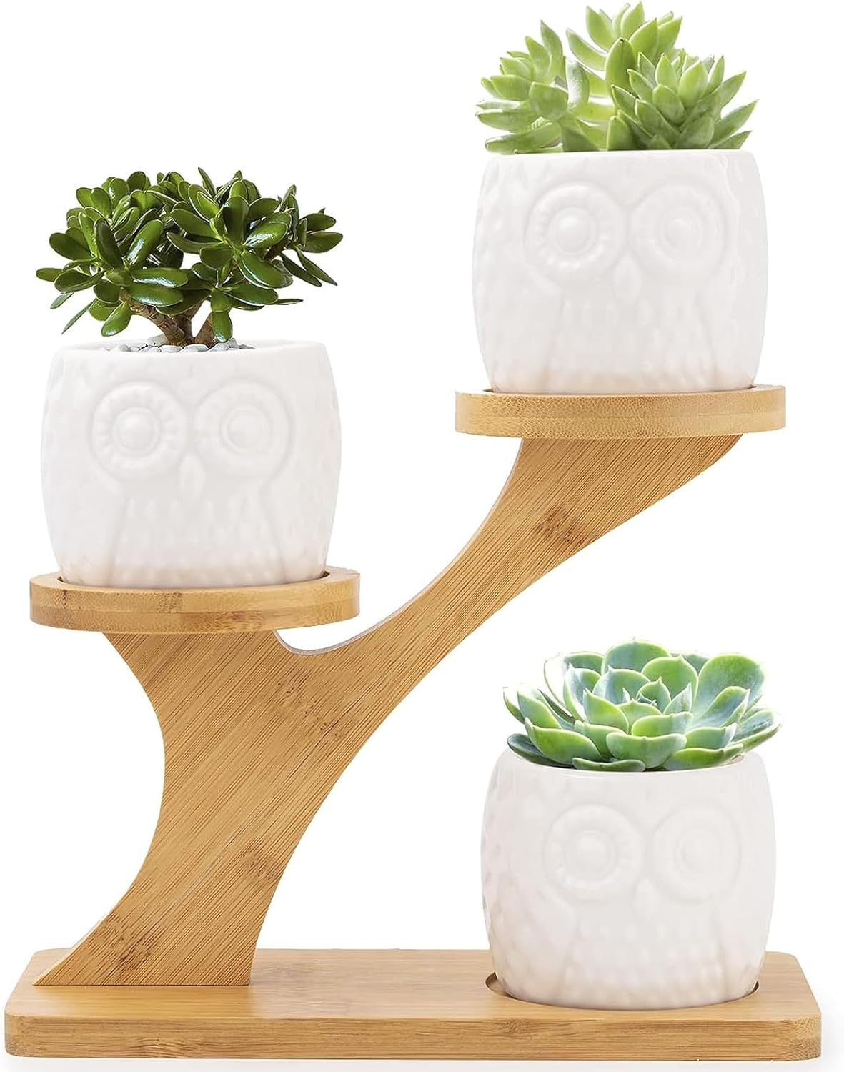 Sukkulenten Topf, Sukkulenten Töpfe, Bambus Tablett, Holztablett, Deko