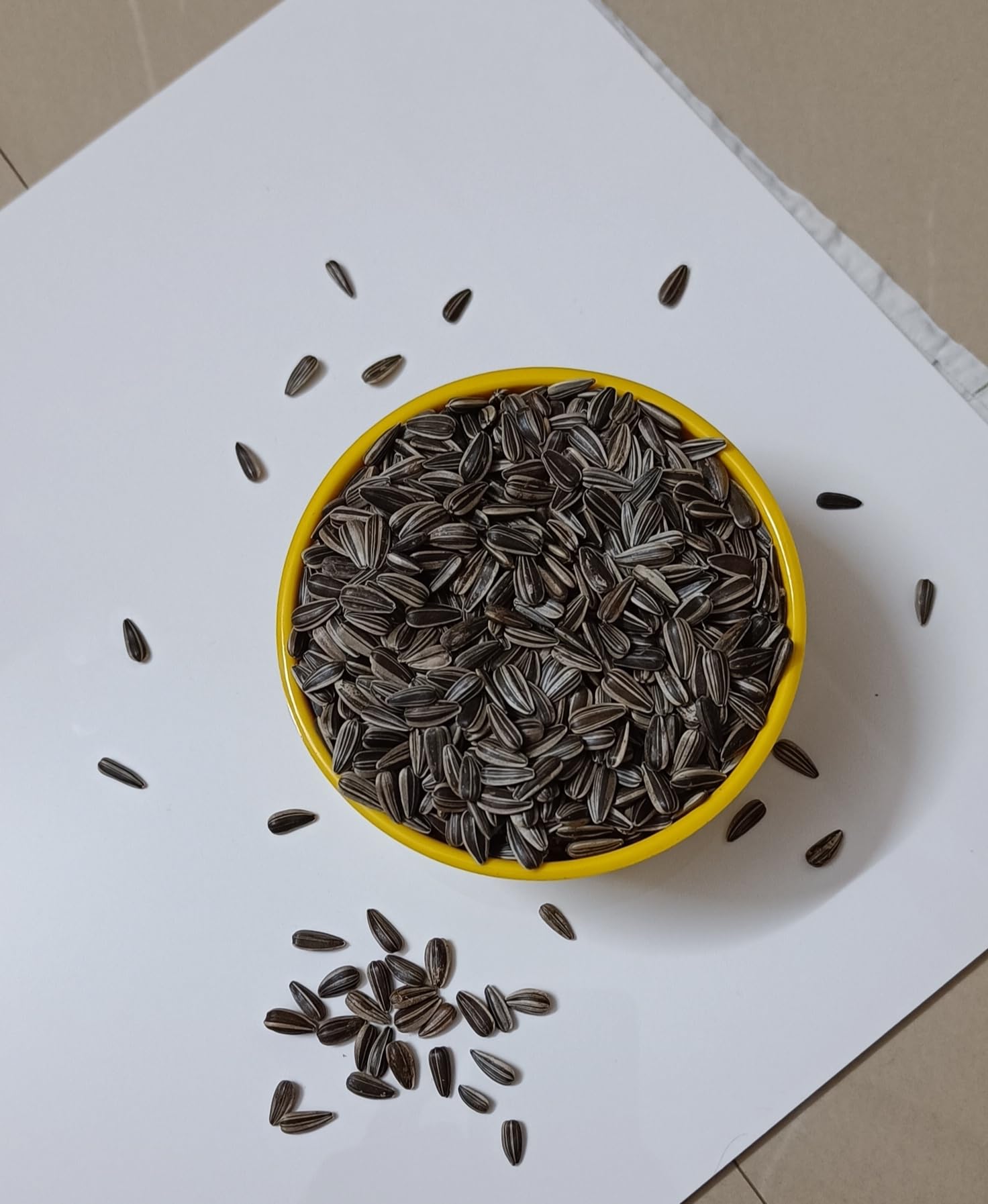See full amazon price history chart for Narpavi Small Sunflower Seeds Dry Food for Birds Cockatiels, Lovebirds, Pigeons, Parrots, Sun Conures, African Gray Parrots,Finch, African Gray Macaws and Parakeets Narpavi Small Sunflower Seeds Dry Food for Birds Cockatiels, Lovebirds, Pigeons, Parrots, Sun Conures, African Gray Parrots,Finch, African Gray Macaws and Parakeets (B0CQHBNGJJ) Amazon Price History, Amazon Price Tracker