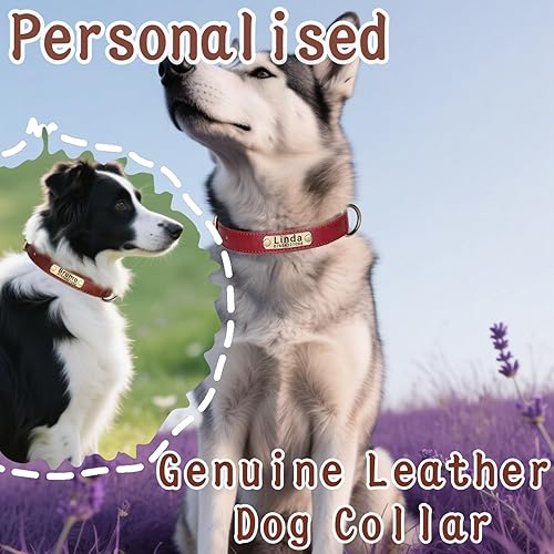 Miniatura 15 de Collar de perro de cuero personalizado y juego de correa, personalizado con diseño acolchado suave resistente con placa de nombre grabada Cuello