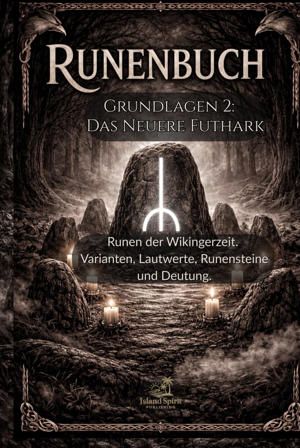 Runenbuch Grundlagen 2: Das neuere Futhark: Runen der Wikingerzeit. Varianten, Lautwerte, Runensteine und Deutung.